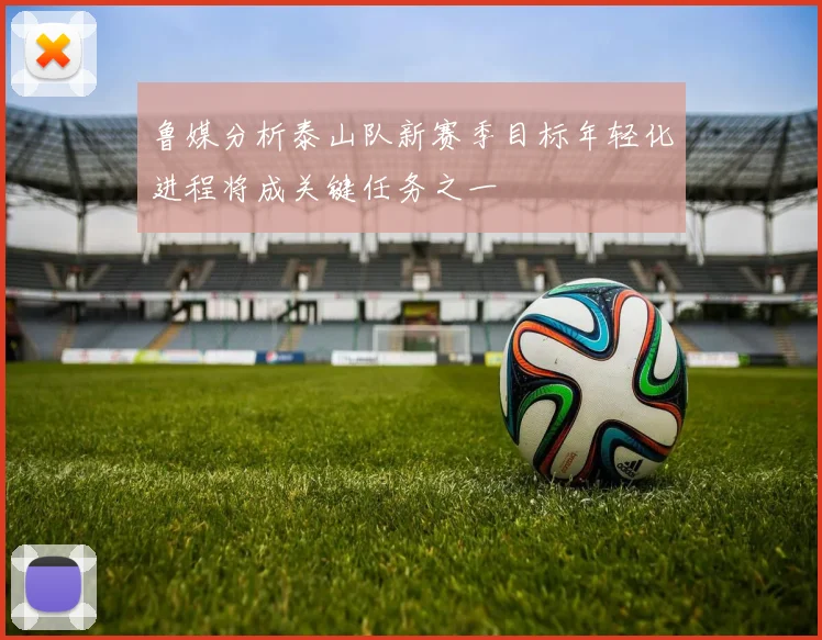 鲁媒分析泰山队新赛季目标年轻化进程将成关键任务之一