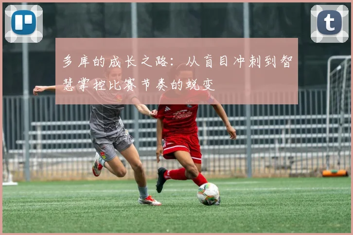 多库的成长之路：从盲目冲刺到智慧掌控比赛节奏的蜕变