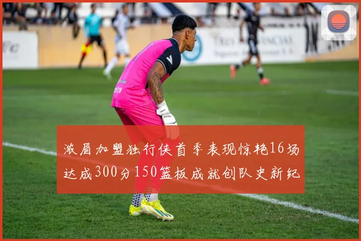 浓眉加盟独行侠首季表现惊艳16场达成300分150篮板成就创队史新纪录