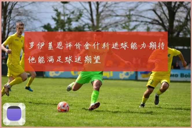 罗伊基恩评价舍什科进球能力期待他能满足球迷期望